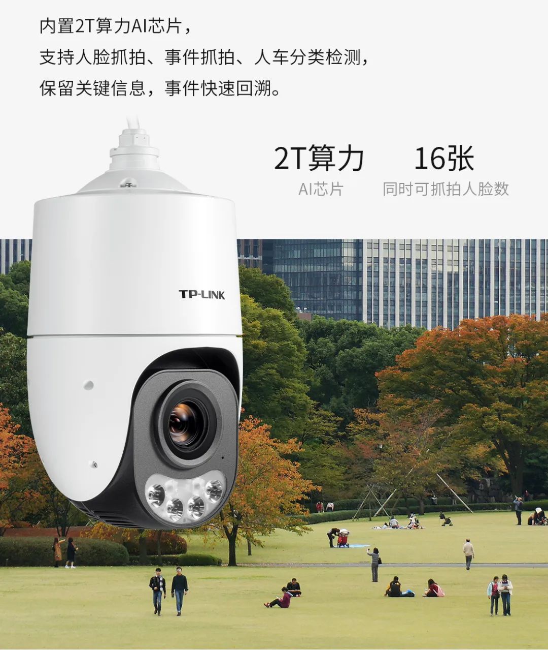 AI 芯片