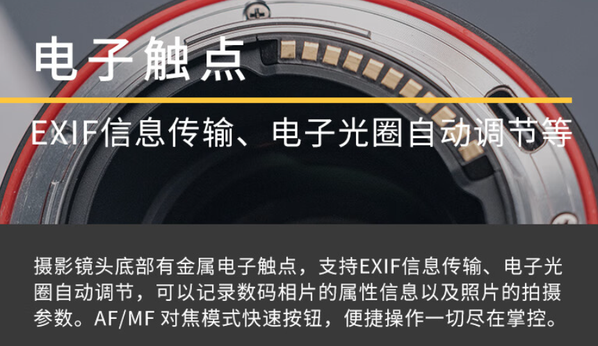 电子触点